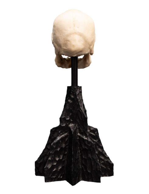 Weta Workshop Skull of a Mordor Orc -The Lord of the Rings - Collectible Mini Statue