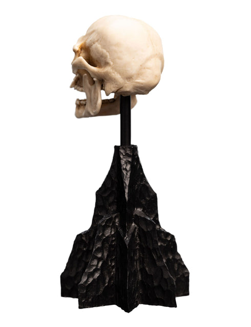 Weta Workshop Skull of a Mordor Orc -The Lord of the Rings - Collectible Mini Statue