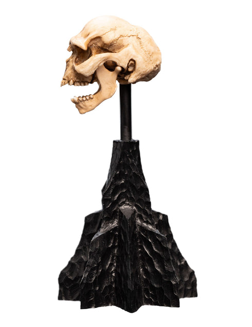 Weta Workshop Skull of a Moria Orc - The Lord of the Rings - Collectble Mini Statue