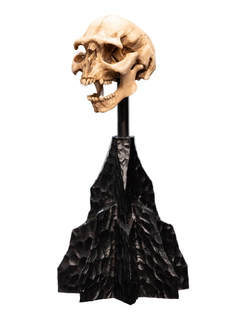 Weta Workshop Skull of a Moria Orc - The Lord of the Rings - Collectble Mini Statue