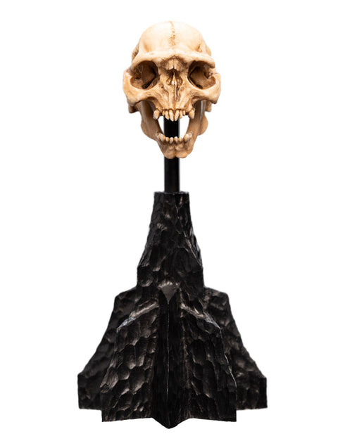 Weta Workshop Skull of a Moria Orc - The Lord of the Rings - Collectble Mini Statue