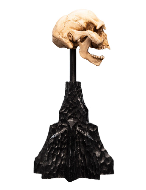 Weta Workshop Skull of a Moria Orc - The Lord of the Rings - Collectble Mini Statue