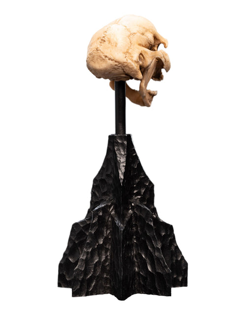 Weta Workshop Skull of a Moria Orc - The Lord of the Rings - Collectble Mini Statue