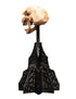 Weta Workshop Skull of a Moria Orc - The Lord of the Rings - Collectble Mini Statue