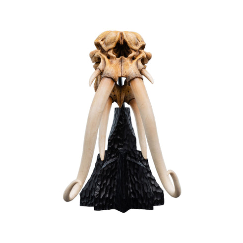 Weta Workshop Skull of a Mumak -The Lord of the Rings - Collectible Mini Statue