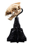 Weta Workshop Skull of a Warg - The Lord of the Rings - Collectible Mini Statue
