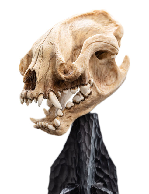 Weta Workshop Skull of a Warg - The Lord of the Rings - Collectible Mini Statue