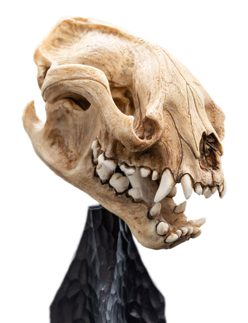Weta Workshop Skull of a Warg - The Lord of the Rings - Collectible Mini Statue
