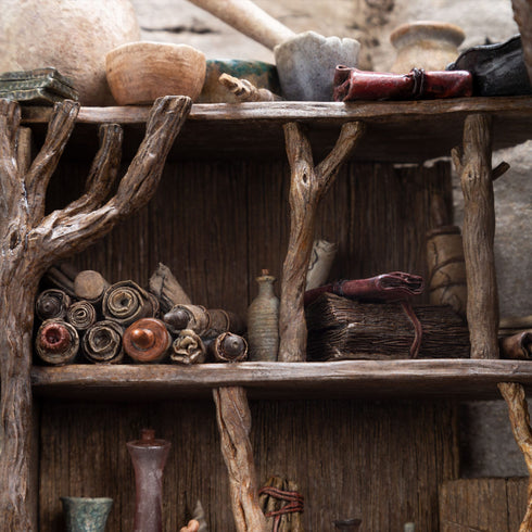 Weta The Lord of the Rings Radagast in Rhosgobel Limited Edition 1/6 Statue