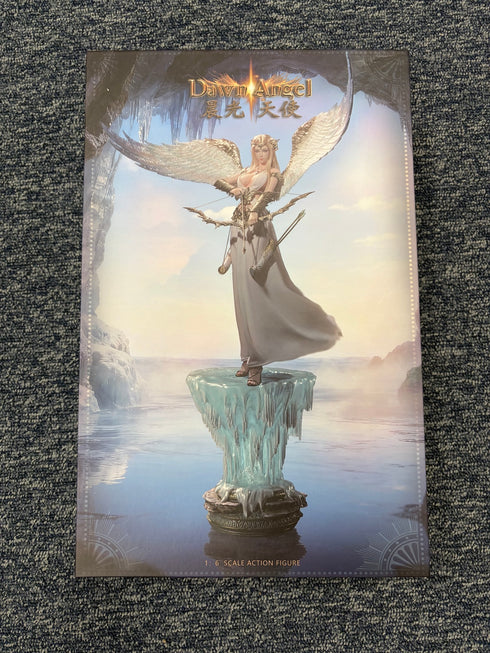 Phicen TBLeague Dawn Angel - 1/6 Scale Collectible Figure - Slight Fault