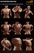 Phicen TBLeague M31 Male Seamless 1/6 Body Action Figure
