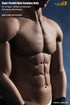 Phicen M33 Male Seamless 1/6 Body Action Figure - Movie Figures - 7